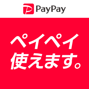 PayPayペイペイ使えます